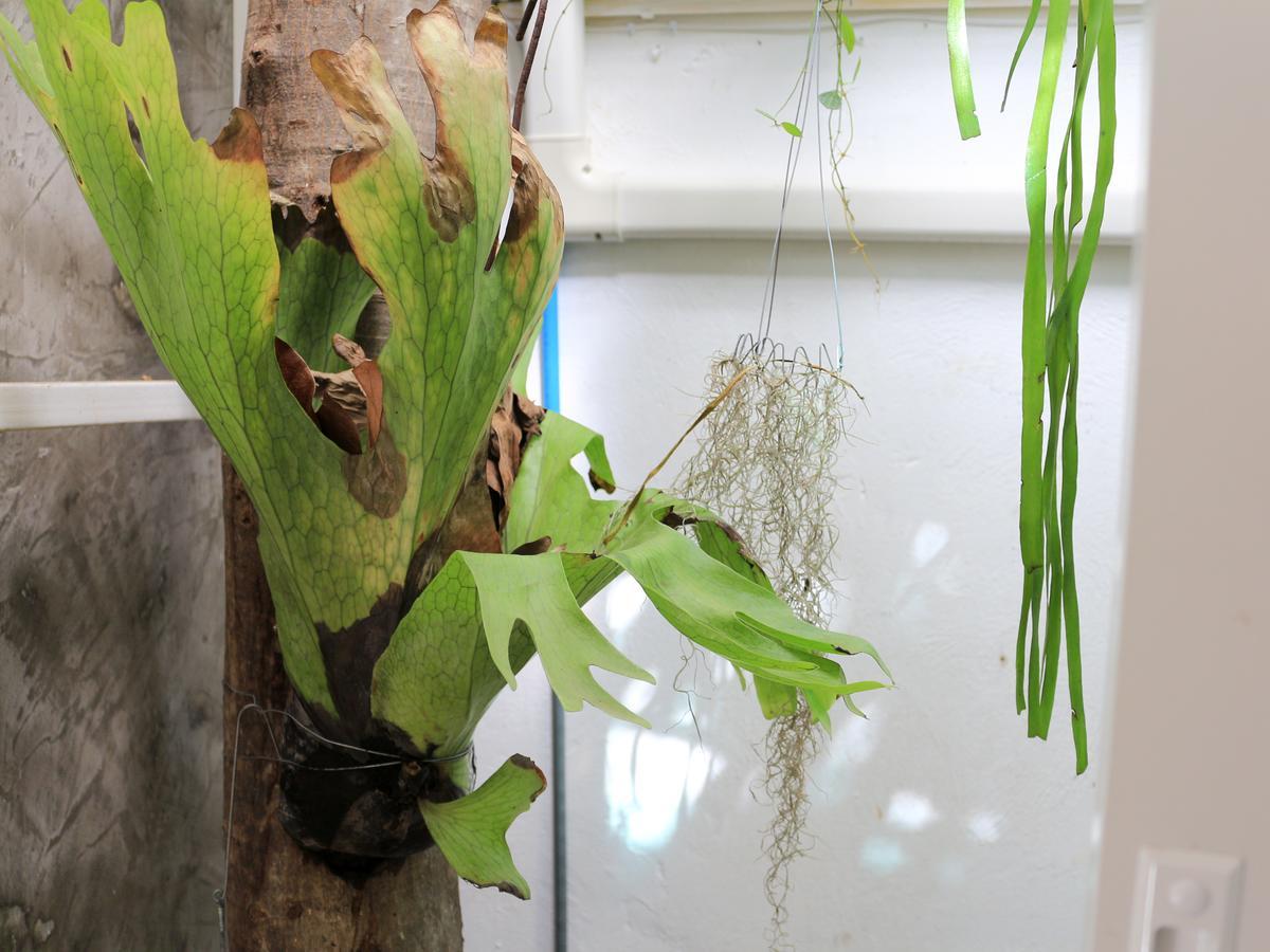 Changmoi House Bed and breakfast Chiang Mai